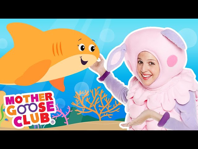 Baby Shark | Mother Goose Club Nursery Rhymes #NurseryRhymes