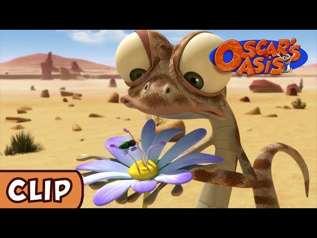 Oscar's Oasis - The Unexpected Hero | HQ | Funny Cartoons
