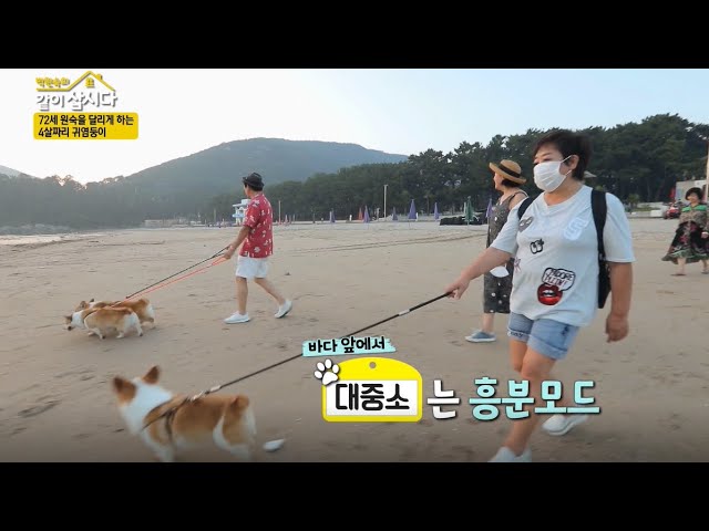 😀대중소 남해바닷가 산책,  덩달아 신난 원숙언니♥   [같이삽시다 시즌2]  KBS(2020.10.7)방송