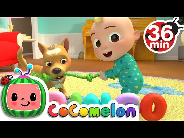 Bingo + More Nursery Rhymes & Kids Songs - CoComelon