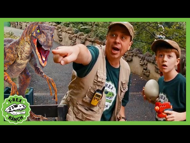 T-Rex Dinosaur & Floor Is Lava!  | T-Rex Ranch Dinosaur Videos