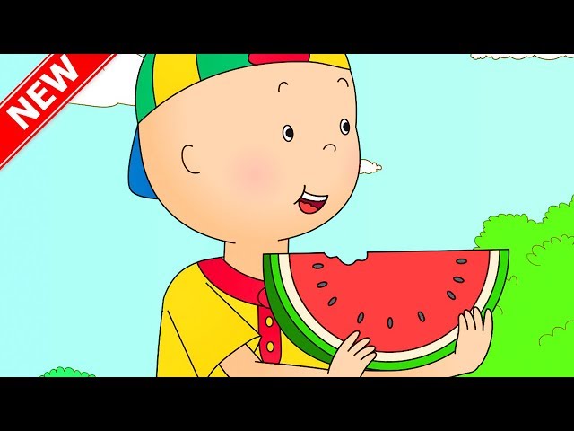 ★NEW★ CAILLOU AT THE PIC NIC | Funny Animated Videos For Kids