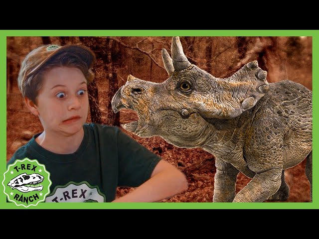 Hunt for the Baby Dinosaurs! | T-Rex Ranch Dinosaur Videos for Kids