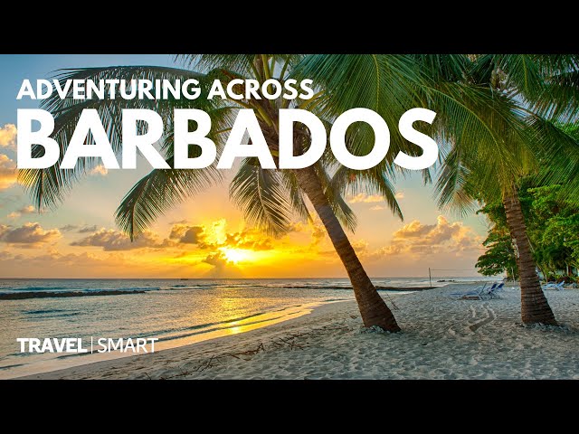 How to have the adventure of a lifetime in Barbados