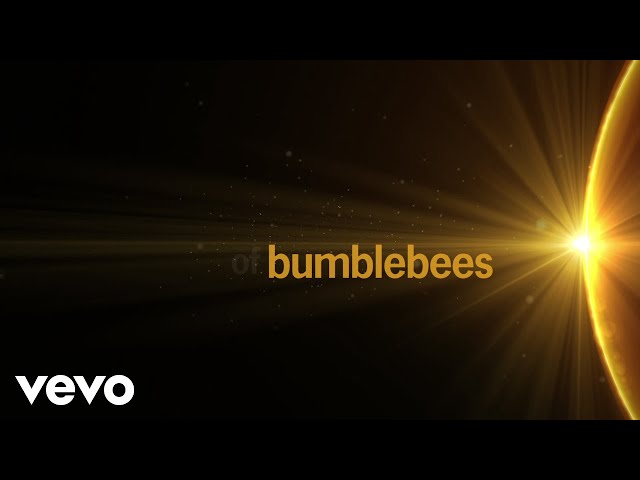 ABBA - Bumblebee (Lyric Video)