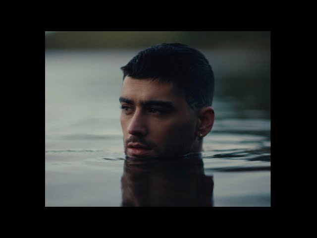 ZAYN - Stardust (Official Video)