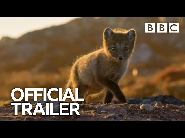 A Perfect Planet | Humans | Trailer - BBC