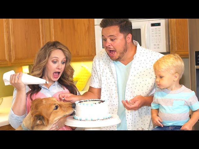 DOG DEVOURS FAMILY CAKE!