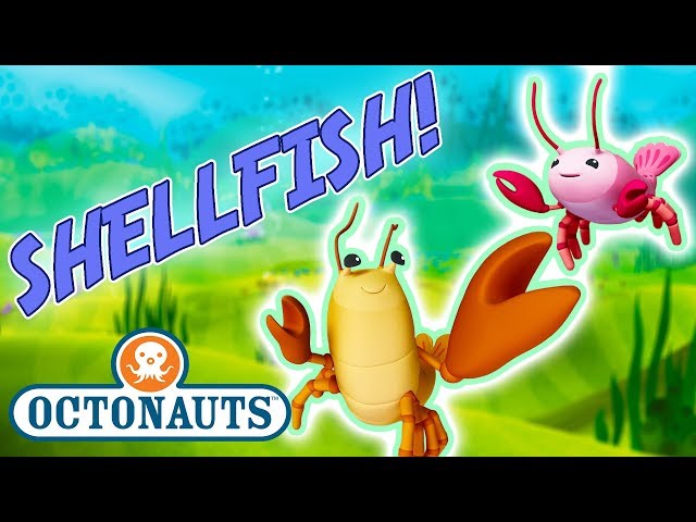 Octonauts - Learn about Shellfish | Cartoons for Kids | Underwater Sea Education
