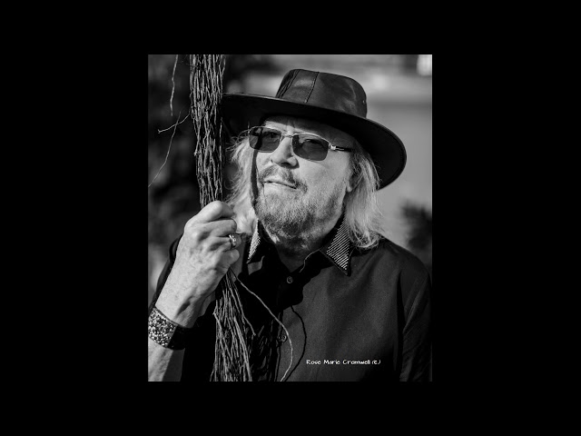 Barry Gibb - Hold Me - Acapella