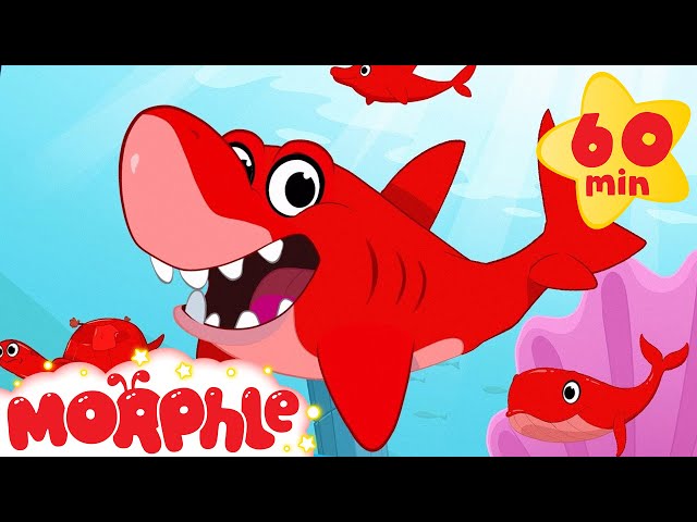 Shark, Dolphin, Turtle, and Whale Morphle shorts +1 hour Morphle kids compilation)