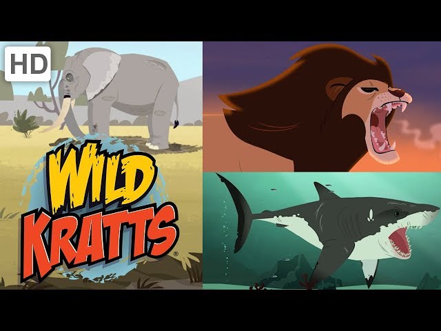 Wild Kratts 🦁🐘 Amazing Animals! (Part 1) 🦈🦇 Kids Videos