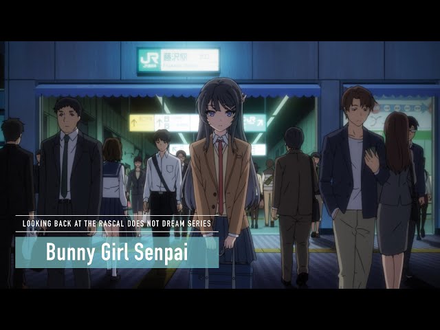Rascal Does Not Dream Series  |  Bunny Girl Senpai Arc