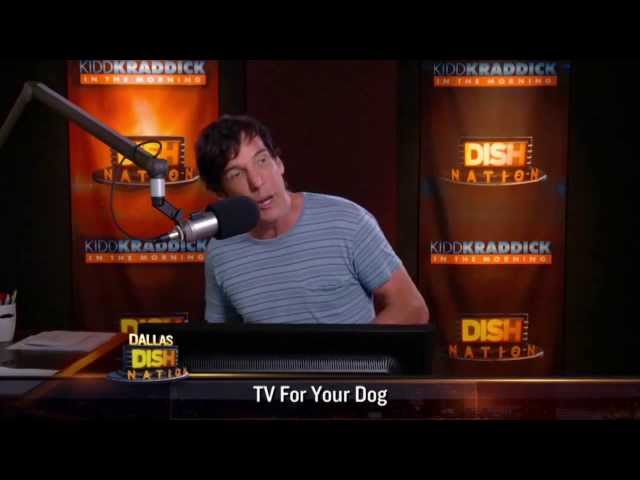 Dish Nation - DOGTV - A New Channel Just for Dogs!