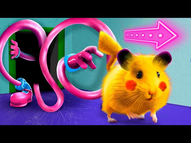 If Hamster Was In Poppy Playtime! Hamster Got Hunted By Family Long Legs?