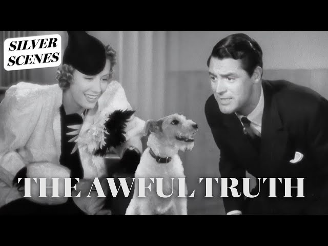 Who Gets The Dog In The Divorce | The Awful Truth | Silver Scenes