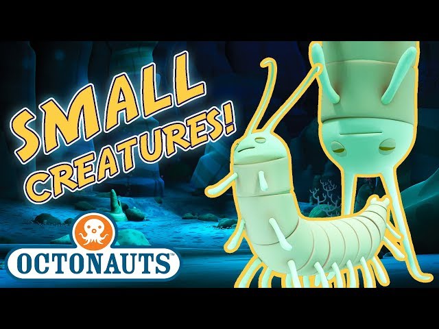 Octonauts - Learn about Small Sea Creatures | Cartoons for Kids | Underwater Sea Education