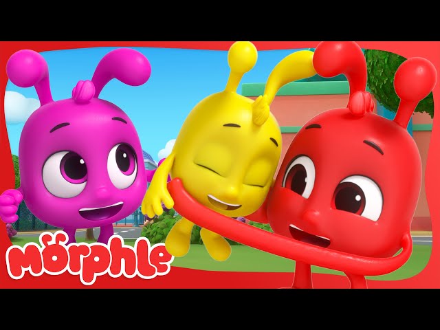 Hide and Seek with Baby Morphle | BRAND NEW | Cartoons for Kids | Mila and Morphle