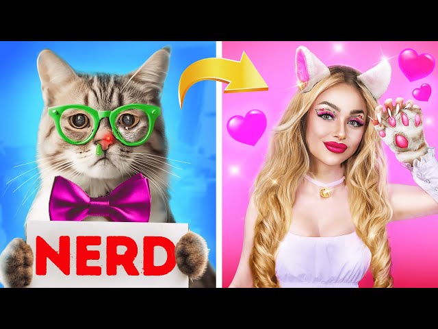 Hello Kitty Saved a Homeless Tiny Cat! Nerd Extreme Makeover in Hospital!