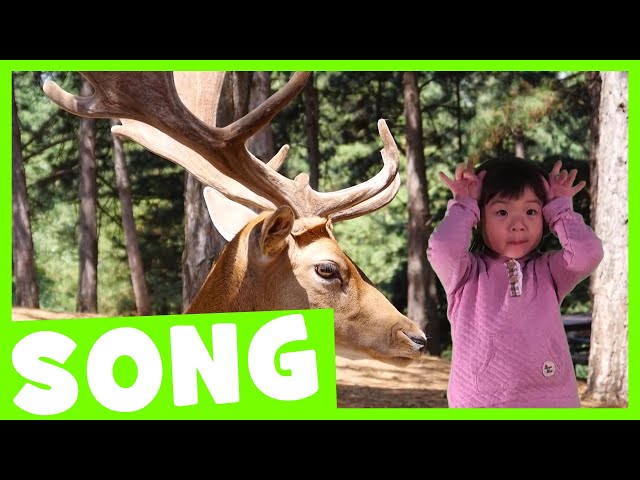 Forest Dance Song | Simple Animal Song for Kids