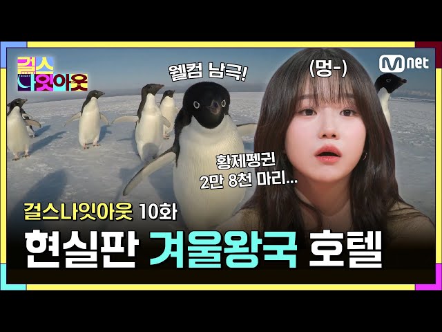 [10화] 현실판 겨울왕국 대신 올라프가 아니라 황제펭귄 2만 8천 마리… #걸스나잇아웃 | Mnet 230529 방송