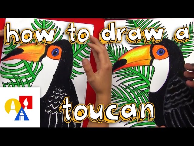 How To Draw A Realistic Toucan