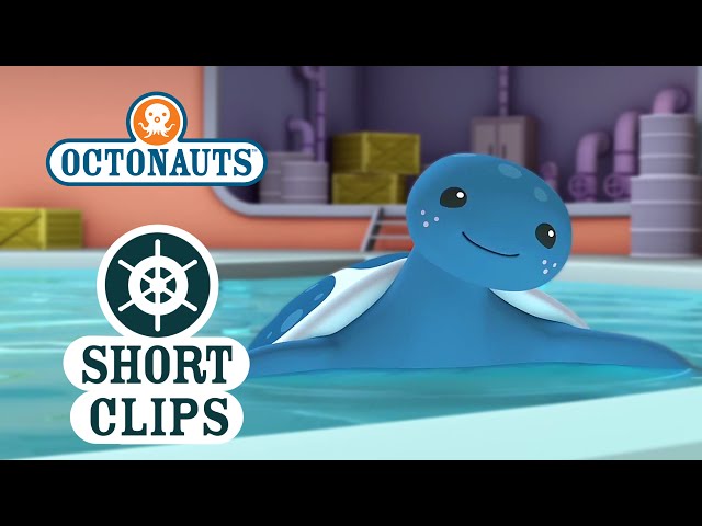 Octonauts: Learning About The Leather Back Sea Turtle