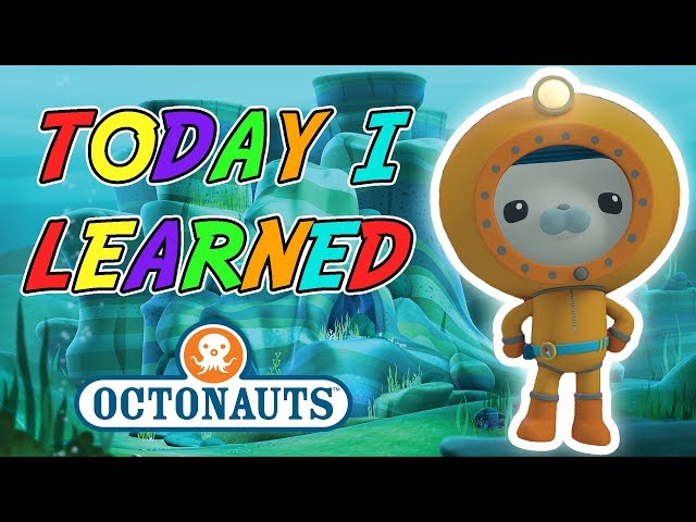 Octonauts - Today I Learned | New Underwater Creatures