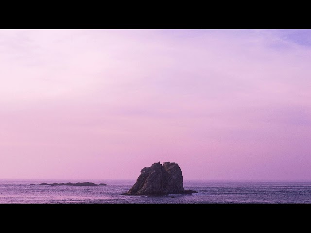 Marcel Vautier - Shades of Purple