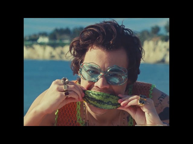 Harry Styles Begged Ellen to Be in the ‘Watermelon Sugar’ Music Video