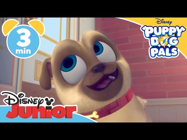 Puppy Dog Pals | Bob's Robot Dog  - Magical Moment | Disney Junior UK