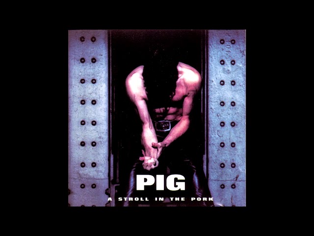 PIG - Hello Hooray (Extra Large)