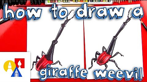How To Draw Insects, Bugs, And Crawlers