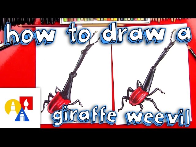 How To Draw A Giraffe Beetle