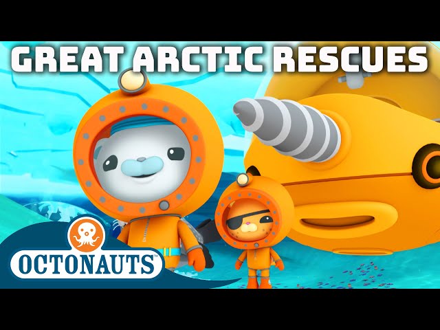@Octonauts -  🐻‍❄️ Arctic Rescues ⛑️ | 90 Mins+ Compilation | Underwater Sea Education for Kids