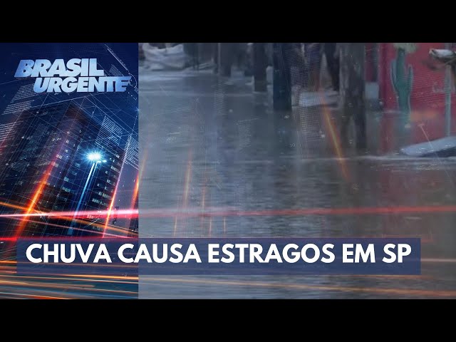 São Paulo registra 53 quedas de árvores após forte temporal | Brasil Urgente