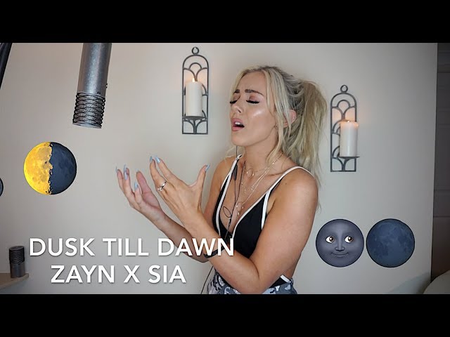 ZAYN - Dusk Till Dawn ft. Sia | Cover
