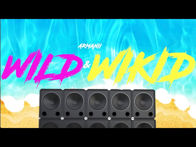 ARMANII - WILD & WIKID (Official Visualizer)