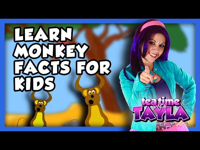 Learn Monkey Facts for Kids on Tea Time with Tayla