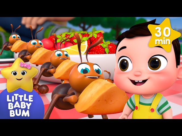 Marching Ants Parade + More | Little Baby Bum | Nursery Rhymes for Babies