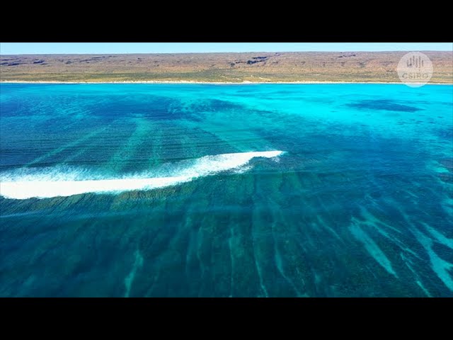 Understanding Ningaloo Reef’s shallow reefs
