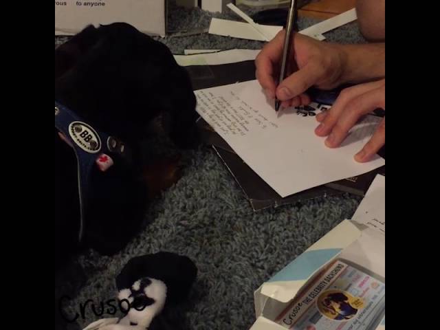 Helping Dad Respond to Crusoe's Get-Well Cards!