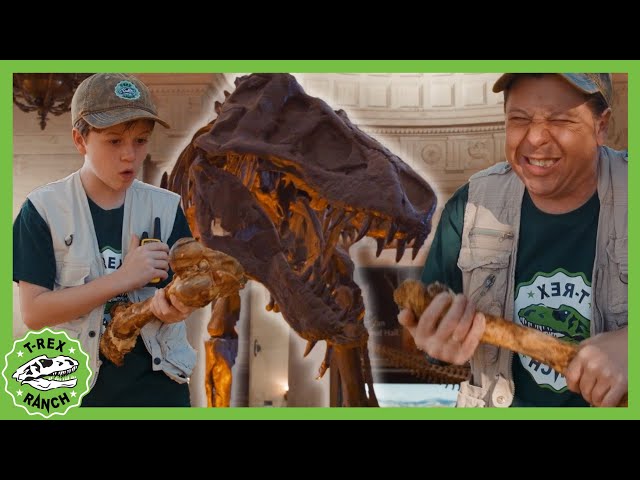 REAL Dinosaurs at the LA Natural History Museum?! | T-Rex Ranch Dinosaur Videos