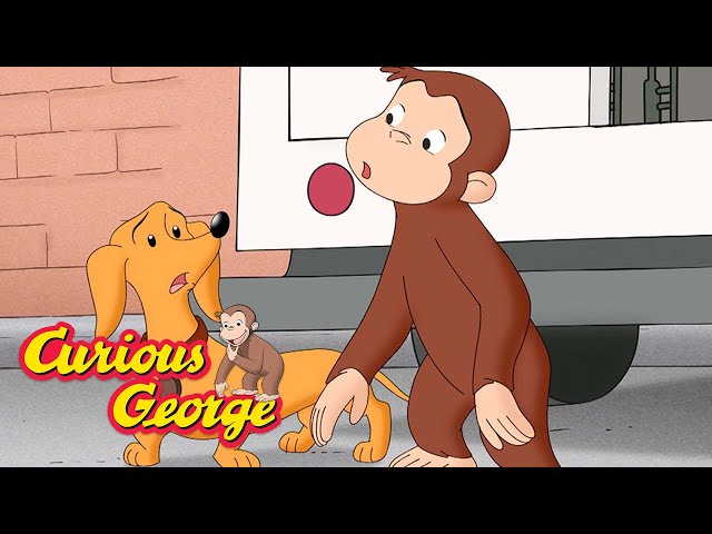 Curious George 🐵 George and Hundley Are Lost 🐵 Kids Cartoon 🐵 Kids Movies 🐵 Videos for Kids