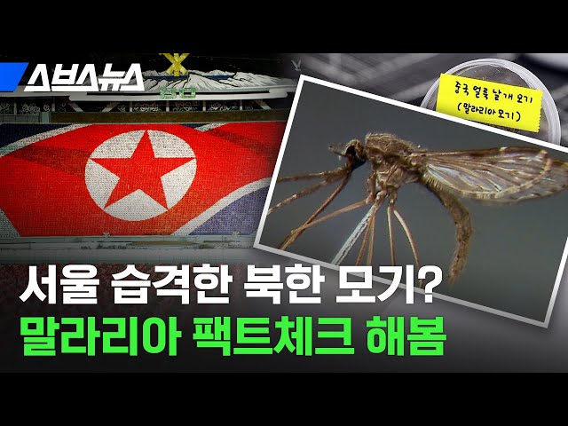 북한에서 말라리아 모기가 내려온다고? 소문의 진실 파헤쳐봄 / 스브스뉴스