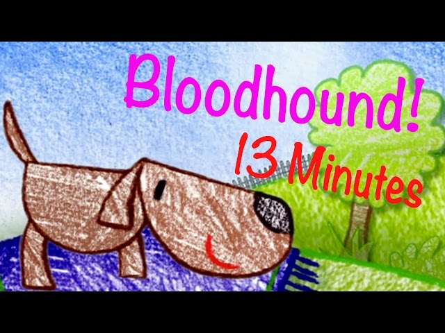 How to Draw A Bloodhound