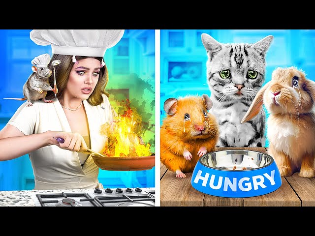 Funny Chef Cooking Show Look After Your Pet! I Saved Homeless Kittens!