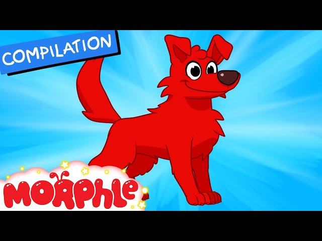 My Magic Dog (+ Morphle compilation) My Magic Pet Morphle Episode #34