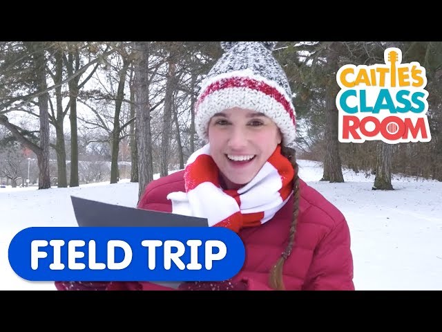 Outdoor Play In The Snow! | Caitie's Classroom Field Trip | Fun Videos For Kids