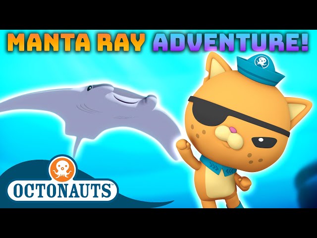 @Octonauts - Manta Ray Adventure! 🪸 | World Manta Ray Day Celebration! 🎉 | 60 Mins Compilation